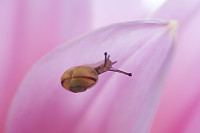 Surfing Up The Underside