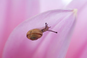 Surfing Up The Underside