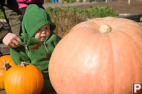 Nara With Giant Pumpkin