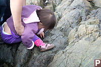 Nara Exploring Tide Pools