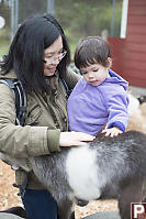 Helen And Claira Petting AGoat