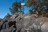 Petroglyph On Rocks