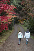 Walking Long Driveway