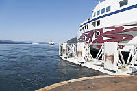 Four Ferries In On Picture