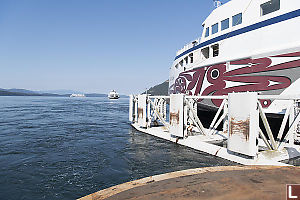 Four Ferries In On Picture