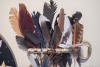 Gretas Feather Collection