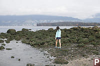 Kelp Collecting At Kits Beach