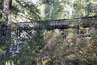 Kids On Todd Creek Trestle