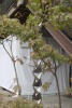 Previous