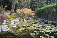 Tea House Above Weedy Pond