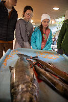 Salmon On Display