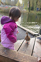 Nara With Duck
