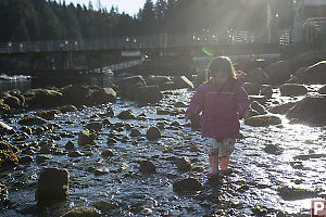 Nara Walking In Creek