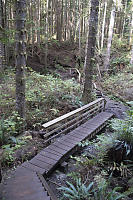 Boardwalks Over Stream