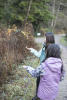 Hand Feeding Nuthatch