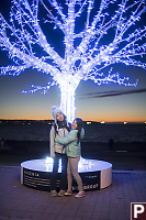 Kids With Glowing Tree