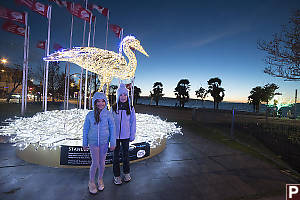 Kids With Great Blue Heron Lights