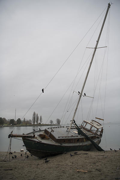 mainimage
