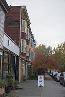 Fall Colours On City Street