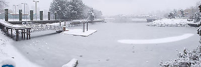 Alder Bay In Snow