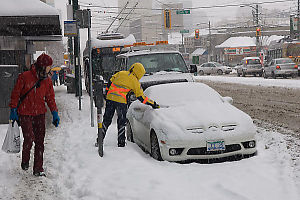 Ticket On Snowed In Car