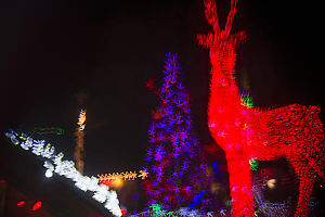 Giant Reindeer With Purple Tree