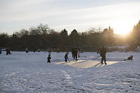 Family Skating At Sunset