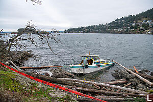 Bad Day For Boat