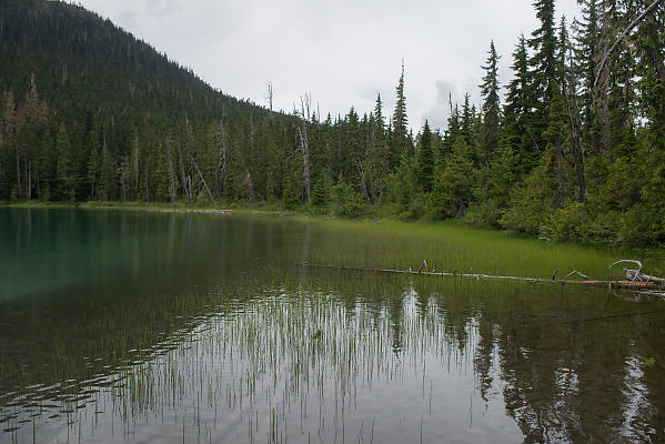 mainimage