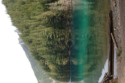 mainimage