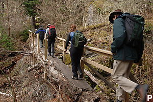 Walking Over Log Bridge