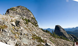 Two Lions Pano