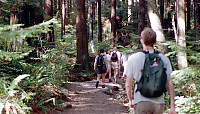 Walking Along Trail