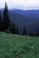 Field And Mountains