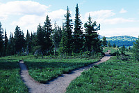 Fork In The Road