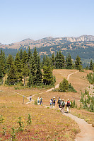 Hiking Into Meadow