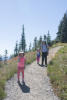 Walking Down Train In Subalpine Meadows