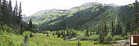 Valley Meadow