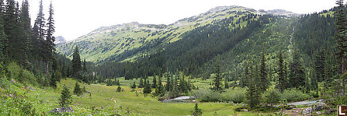 Valley Meadow