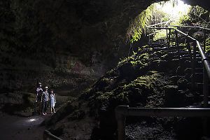 Entrance Stairs