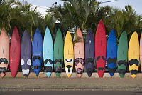 Rainbow Surfboard Wall