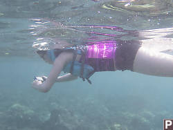 Nara Snorkeling