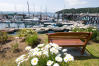 Bench With AView Of Marina