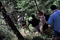 Hiking Down Hill