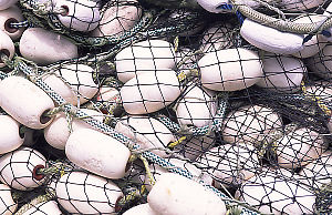 Floats on Dock