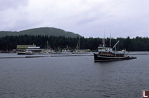 View of Shearwater Marina