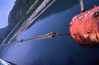 Log Boom in Larso Bay