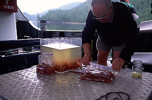 Dan Sealing Prawns