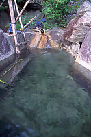 Eucott Hot Spring Cleaned