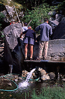 Draining Tub at Eucott Hot Spring